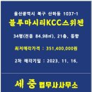 블루마루 이미지