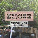 여름탐방(성인) | 울진 가볼 만한 곳, 성류굴 탐방 후기! 시원함과 감동을 동시에