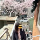 머리 바꾸기 | |누하우스| 봄맞이 헤어 커트&amp;펌 만족 후기 한남동 미용실 추천💇🏻‍♀️ (허신지 수석실장님)