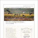 윤순영