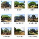 반송 이미지