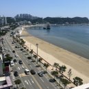 브라운도트 영일대해수욕장점 이미지