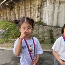 좋은열매어린이집 이미지