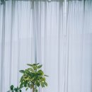 오앤필름