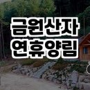 금원산 자연휴양림 | 자연 속의 힐링, 금원산자연휴양림 방문기🌲