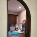 동물병원 오월의산책 이미지