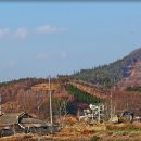 임실역 이미지