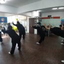 기체조(화타오금희) 이미지