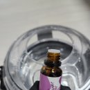 세영첼시빌아파트 | 충주 매트리스 청소, 아기 부부 침대 먼지 오염 제거 칠금동 세영첼시빌 아파트