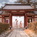 [돌잔치] ♥소규모 돌잔치 후기♥ 춘천세종호텔｜사락한복｜이우열 포토그라피｜라포레뷰티살롱 ｜해피돌상