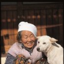 돈지백구마을 이미지