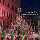 성가방앗간 | 취리히 싱잉 크리스마스트리(Singing Christmas Tree)+크리스마스마켓