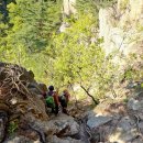 (주)에덴 이미지