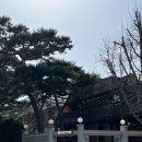 카페멘디 이미지