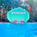 속초 아이랑 설악 쏘라노 워터피아 할인 올데이속초패스 나이트스파