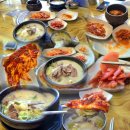 대전 소머리국밥 맛집 월평동 조풍연실비집 매운김치 파는곳