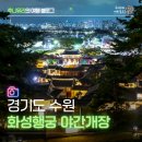 수원 화성행궁 야간개장 달빛화담 주차 미디어아트 데이트 후기