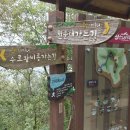 스카이투어 이미지