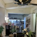 강아지클럽 이미지