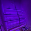 장훈농장 이미지