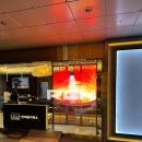 주식회사위비스 이미지