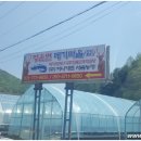 청운면메기마을 이미지