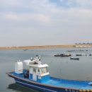 삼길포항 어촌마리나역 이미지