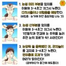 한화그룹(한국화약)불꽃놀이 이미지