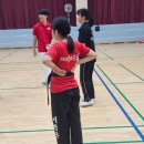 용인대스타태권도 이미지