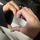 비발디 헤어 | 매장에서 방어회뜨는곳? 바로 보그헤어배곧한라비발디점