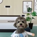 옐레드 하남미사점 이미지