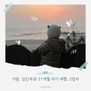 상봉바다마트 | 태안 아기 동반 여행 추천｜37주 만삭 임산부와 27개월 아기 2박 3일 후기 (2일차)