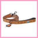 견생폼사 이미지