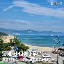 바다에 머무르다 | 동해 바다에머무르다 펜션, 대진 해수욕장이 보이는 가성비 오션뷰 숙소 (303호 후기)