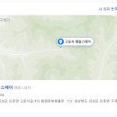 스테이 청춘 이미지