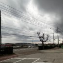 강릉해변 메밀막국수 | [한 입 탐험기] 🟤 입맛 없을 때 직효! 일월 수목원 근처 강릉해변메밀막국수 내돈내산 후기