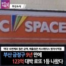 시호다영 | 6월 일상