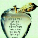 신세대 이미지