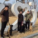 육군 군견훈련소 이미지