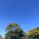 위미사랑하우스 이미지