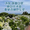 제주 종달리 수국길 가는 방법 및 주차 방법 꿀팁, 제주 동쪽 수국 명소인 이유 5가지 포함