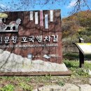 추원모차골 티스토리