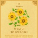 포레스트(forest) 이미지
