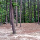 주은 자연휴양림 이미지