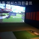 엠씨스크린골프