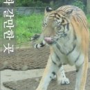 낙동강원시비경탐방로 이미지