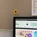 엽이네떡볶이 | 6월 下 얼레벌레 7월까지