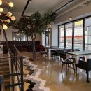 세븐일레븐 구미인동중앙점 | 구미인동카페 | 커피비치(Coffee Beach) 따뜻한 허니...라떼 데이트 후기💚 식물 인테리어 감성 가득한...