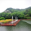 영젠 Daum카페