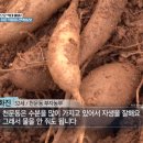 부자작물재배